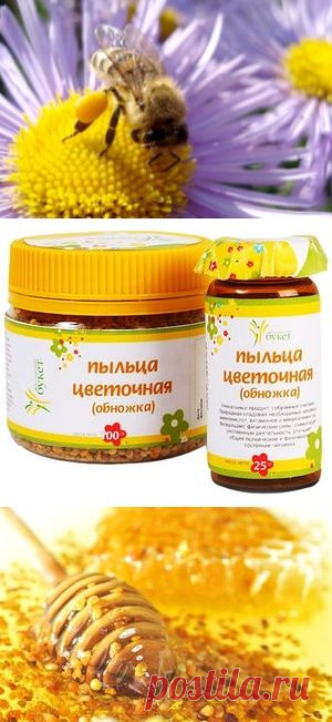 Пыльца пчелиная - полезные свойства. Как принимать обножку?