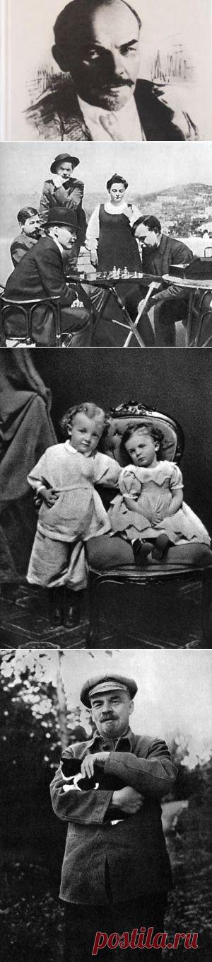 90 лет со дня смерти вождя. Чего мы не знали о Ленине | ЛЕГЕНДЫ | АиФ Ульяновск