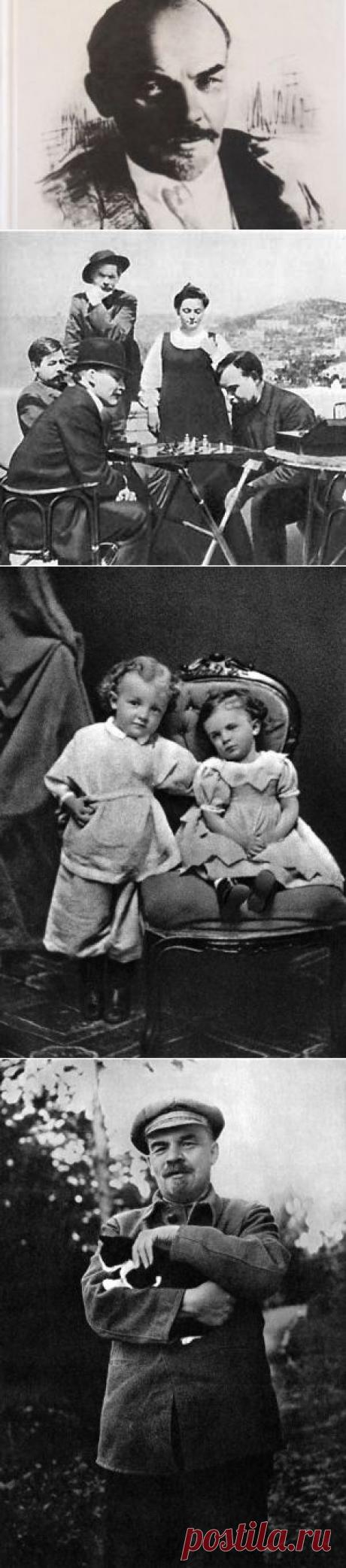 90 лет со дня смерти вождя. Чего мы не знали о Ленине | ЛЕГЕНДЫ | АиФ Ульяновск