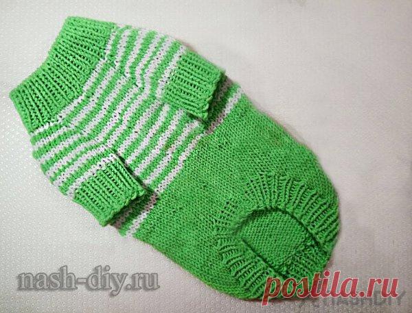Вязаный свитер для собаки спицами