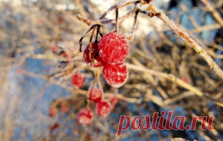 Мороз и солнце