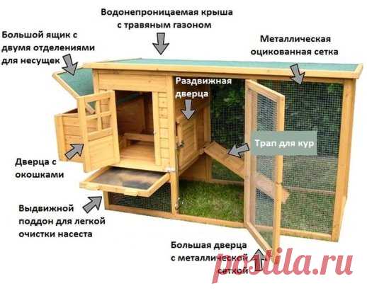 Мини-курятник