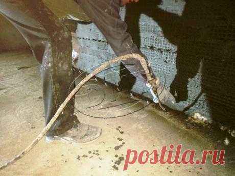 Что делать после подтопления в подвале?