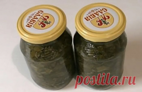 Щавель на зиму - 7 лучших рецептов заготовок в домашних условиях