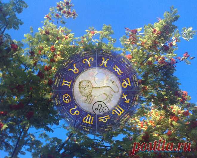 Работайте над собой, и будет вам удача. Гороскоп для Льва с 28 июня по 31 июля 2021 | Астропропаганда | Яндекс Дзен
✨ Автор: астролог Нина Стрелкова. ✧ Большая часть этого периода связана с ограничениями и необходимостью проявлять терпение и скромность в потребностях. Это хорошее время для работы над собой, избавления от психологических проблем. Чем больше вы в этом преуспеете, тем удачнее для вас будут две последние недели июля...