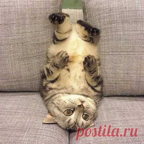 Что я обычно делаю, когда осознаю, что есть много дел, которые нужно сделать: