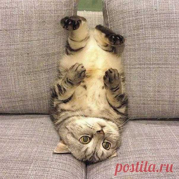 Что я обычно делаю, когда осознаю, что есть много дел, которые нужно сделать: