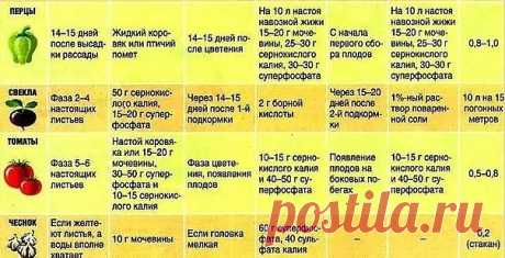 (11) Одноклассники
