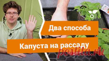 Посев семян капусты на рассаду. Два отличных способа Многих огородников интересует – как вырастить жизнеспособную и крепкую рассаду белокочанной капусты? В этом видео мы подробно разберём этот вопрос и расскажем, на что нужно обратить особое внимание, чтобы рассада к высадке подошла в оптимальной форме.