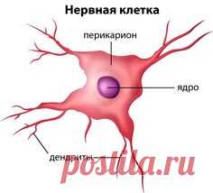 (846) Pinterest