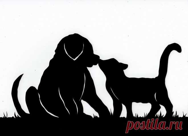 dog-and-cat-silhouettes-clipart-silhouette-clip-art-119245.jpg (1500×1090)