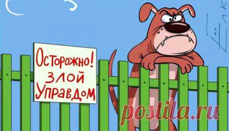 Выборы управдома &amp;raquo; Женский Мир