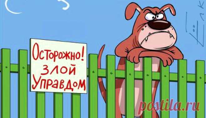 Выборы управдома &raquo; Женский Мир