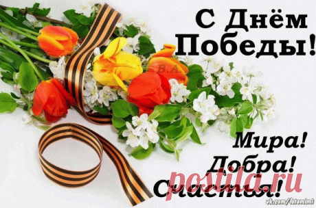 Взрываются в небе салюты,
Гремит День Победы. Ура!
Желаю я в эту минуту
Покоя, тепла и добра!