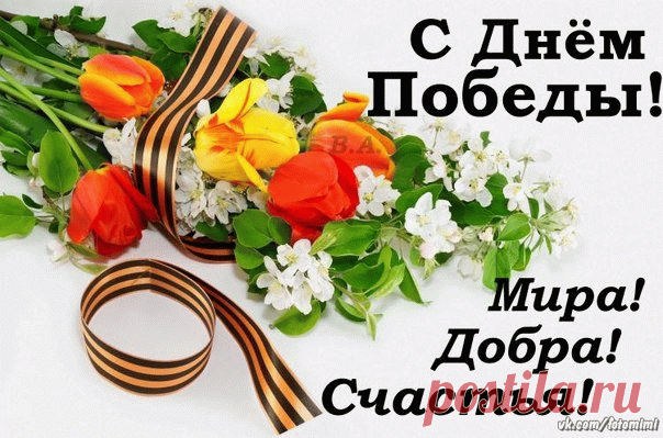 Взрываются в небе салюты,
Гремит День Победы. Ура!
Желаю я в эту минуту
Покоя, тепла и добра!
