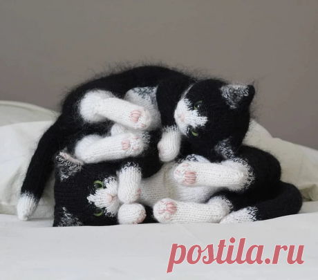 Вязаные котики удивительной реалистичности: рукодельный instagram недели - Сам себе мастер - медиаплатформа МирТесен