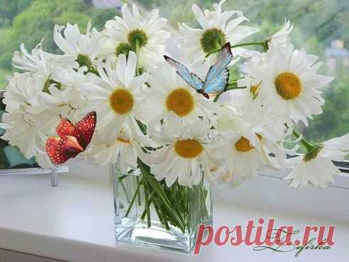 С ДОБРЫМ УТРОМ!
http://www.surprisse.com/muscards/view/2014/07/16/51b0287a96b161ba3fc1ba1oc7o28ddl.php

С ДОБРЫМ УТРОМ
С ДОБРЫМ УТРОМ Это утро пусть будет только прекрасным: Настроение, дождь и случайный прохожий... Пониманье, что прожиты дни не напрасно, Даже если чего-то мы в жизни не можем. Ты проснись и с улыбкой иди дальше, Покоряя себя и свои стра ...