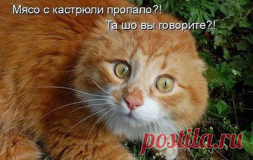 Интересные новости