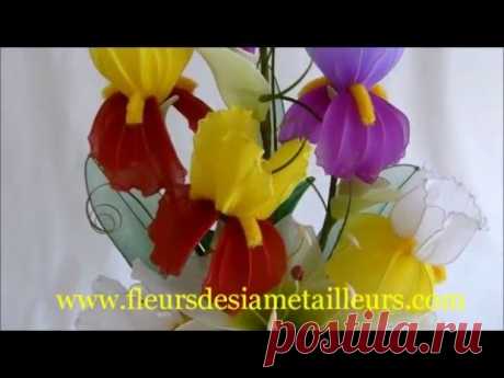 Nylon Iris