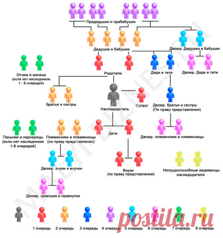 Вступление в наследство после смерти без завещания, правила наследования имущества без завещания.