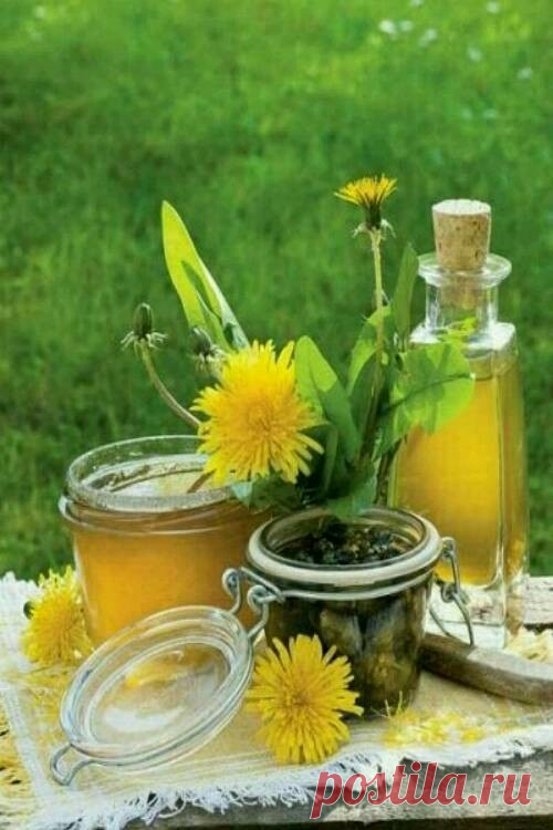 ஜ═══۞═══ஜ۩۞۩ஜ═══۞═══ஜ

Легенды об одуванчиках

    В старинной легенде рассказывается, что на  Руси одуванчик был самым любимым цветком:  давал нектар пчелам, девушкам – цветы на венки, его  корни лечили больных, ночью золотистые цветки освещали дорогу путнику. Но однажды небо нахмурилось, и в степи появились злые наездники, сеявшие повсюду смерть и разруху. Одуванчик спрятал свои лепестки, наклонил головку, сжался, не желая служить злым людям. Прошло время, сгинуло черное...