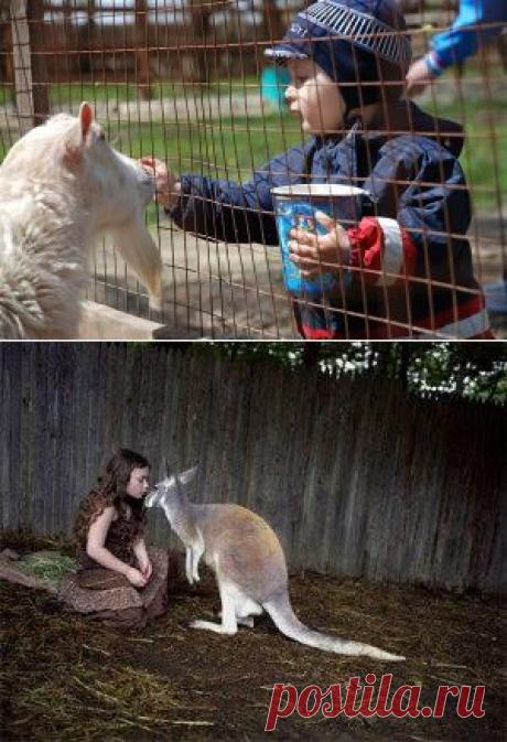 Первый поход в зоопарк / Малютка