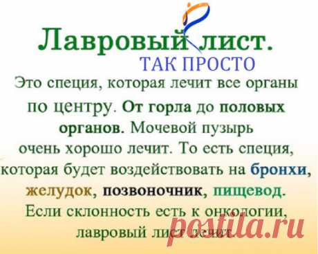 ЛАВРОВЫЙ ЛИСТ В ПОМОЩЬ  
Именно остеохондроз является причиной боли в спине в 80% случаев
Для тех, у кого застарелый остеохондроз, лучше любых мазей из аптеки помогают средства на основе лаврового листа.
Вот отличные рецепты:
1) Лавровое масло. Залить стаканом оливкового масла 1 ст. ложку мелко нарезанных лавровых листьев и настаивать 15 дней в теплом месте. Лучше всего втирать масло в больные места на ночь, а потом тепло укутываться.
2) Настой. Взять 1 ч. ложку измельченных листьев и залить