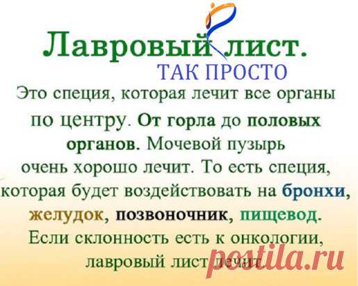 ЛАВРОВЫЙ ЛИСТ В ПОМОЩЬ  
Именно остеохондроз является причиной боли в спине в 80% случаев
Для тех, у кого застарелый остеохондроз, лучше любых мазей из аптеки помогают средства на основе лаврового листа.
Вот отличные рецепты:
1) Лавровое масло. Залить стаканом оливкового масла 1 ст. ложку мелко нарезанных лавровых листьев и настаивать 15 дней в теплом месте. Лучше всего втирать масло в больные места на ночь, а потом тепло укутываться.
2) Настой. Взять 1 ч. ложку измельченных листьев и залить