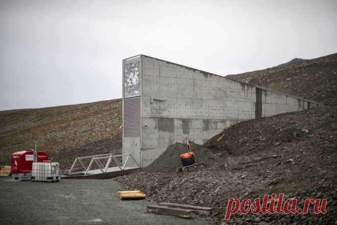 Арктическое усиление. Хранилище Судного дня оказалось под угрозой - Погода Mail.ru
