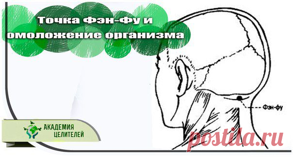 Точка Фэн-Фу и омоложение организма. Невероятно - но факт!