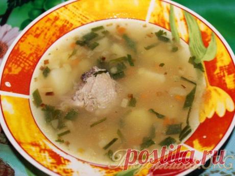 Простой куриный суп. Рецепт с фото
