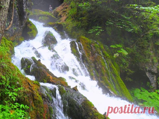 Летом, в окрестностях Мезмая - 22 Июля 2015 - Персональный сайт