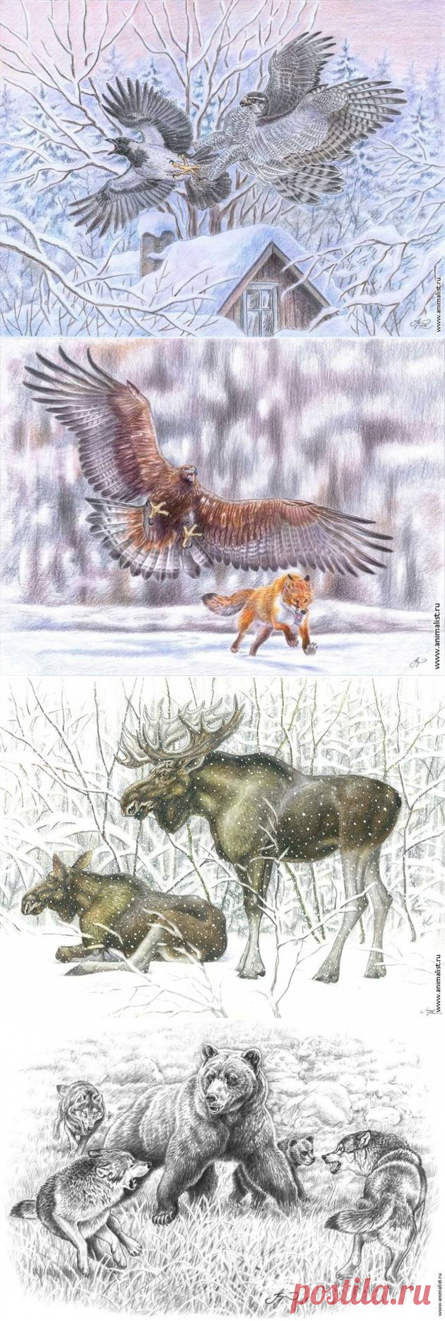 Рисунки карандашом. Шкурко Антон.