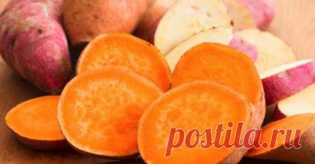 Сладкий картофель: преимущества, энергетические и невероятные свойства - Упражнения и похудение Невероятно полезно! Сладкий картофель выделяется важными свойствами и преимуществами благодаря содержанию витамина С и сложных углеводов. Мы открываем все его самые замечательные качества. Сладкий картофель — это клубень, полный питательных качеств, очень богатый углеводами, поэтому это очень энергичная пища, которая легко усваивается. Как и в случае с сельдереем, сладкий картоф...