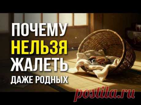 Почему НЕЛЬЗЯ жалеть людей? Японская мудрость