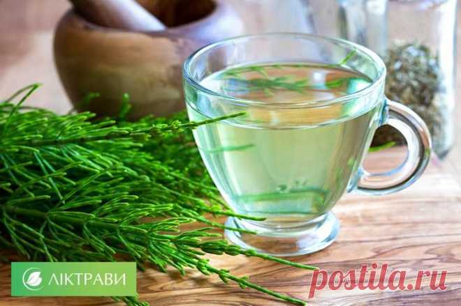Лечение пиелонефрита народными средствами