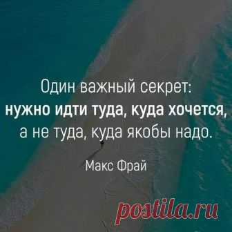 Фитхакер - Публикации
