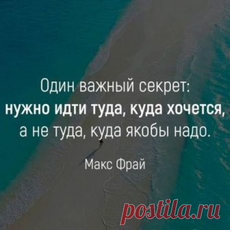 Фитхакер - Публикации