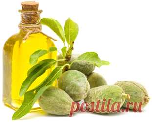 Омега-3 + продукты богатые омега-3
