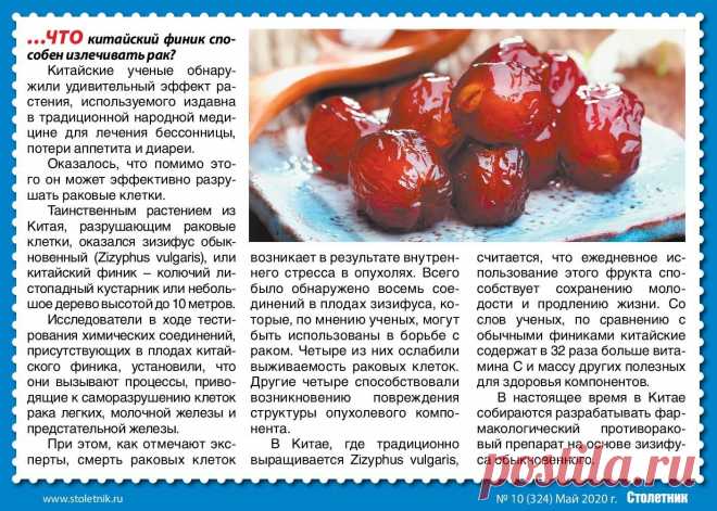 Финик китайский - польза