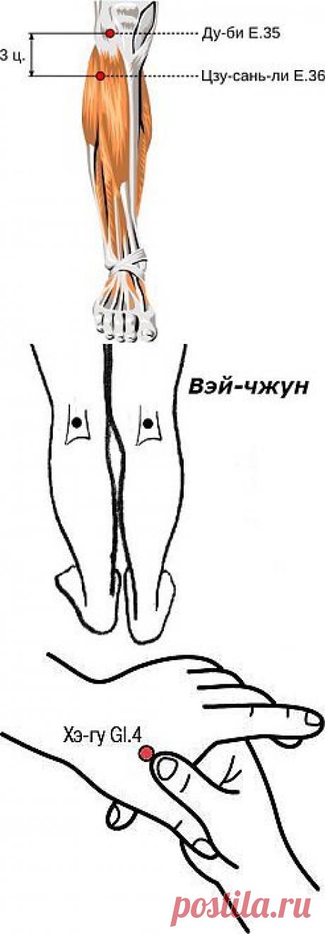 Полезные биологически активные точки. Четыре общие точки Сы Цзун Сюэ.