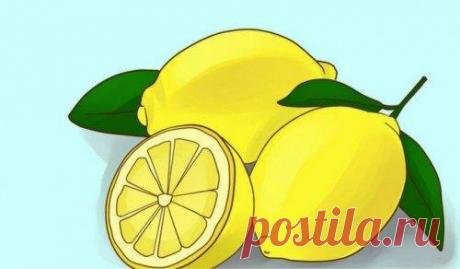 Как и чем очистить сосуды головного мозга | Путь к здоровью | Яндекс Дзен