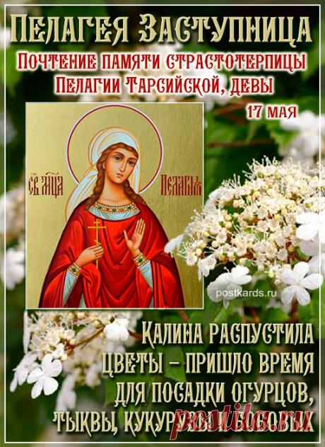 С днем Пелагеи, милая, тебя! Пусть Заступница от бед укроет, и Ангел твой, всю жизнь любя, все тайные дороги успокоит. Открытки на Пелагея Заступница (День баклушников)!