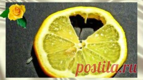 Лечим сердце лимонами Загрузка... О пользе лимонов известно всем, их вклад в наше здоровье невозможно переоценить. Этот богатый витаминами и минералами фрукт используется также для лечения и профилактики сердечно-сосудистых заболеваний  ...