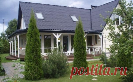 Как вырастить тую на даче - Садоводка