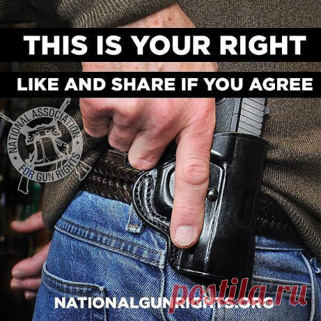 ... | Weapons &amp; 2nd Amendment stuff