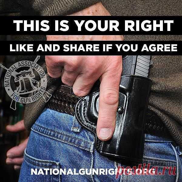 ... | Weapons & 2nd Amendment stuff