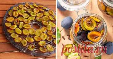 Инструкция по приготовлению вяленых слив — Домашняя кулинария