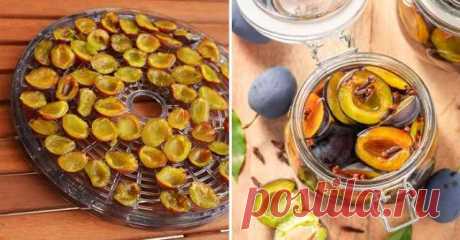 Инструкция по приготовлению вяленых слив — Домашняя кулинария