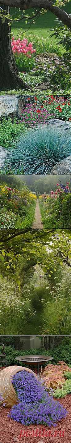 Gardening on Pinterest - flowers, cacti and other growing ideas